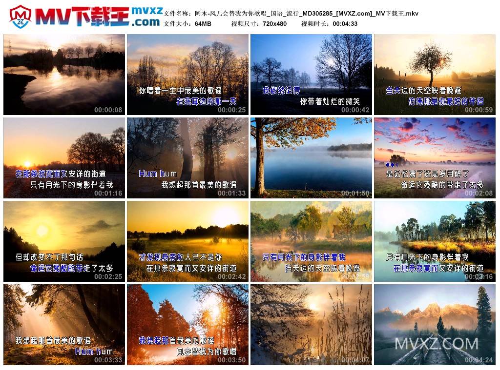 阿木-风儿会替我为你歌唱_国语_流行_MD305285